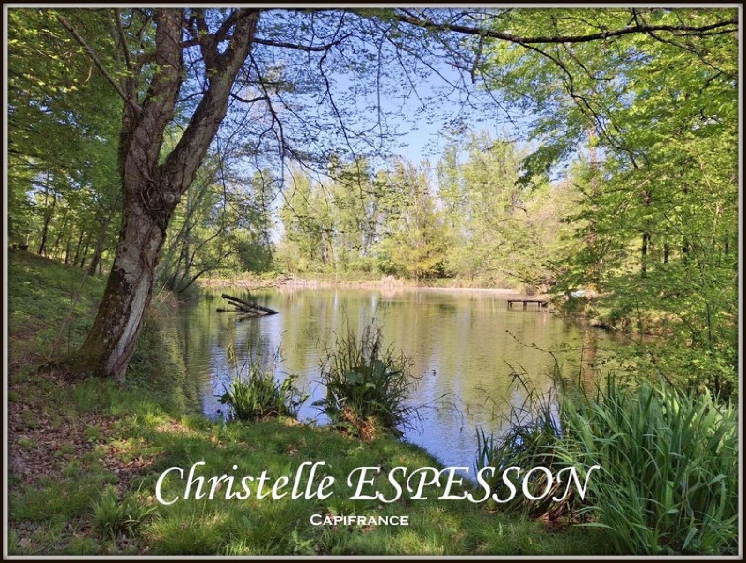  for sale estate Beaupuy Lot-et-Garonne 2