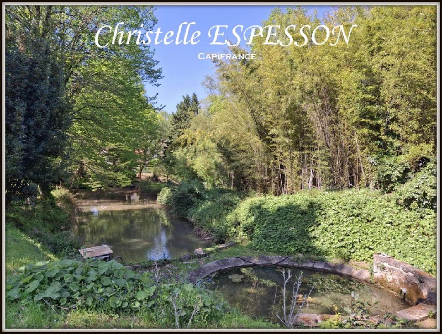  for sale estate Beaupuy Lot-et-Garonne 3
