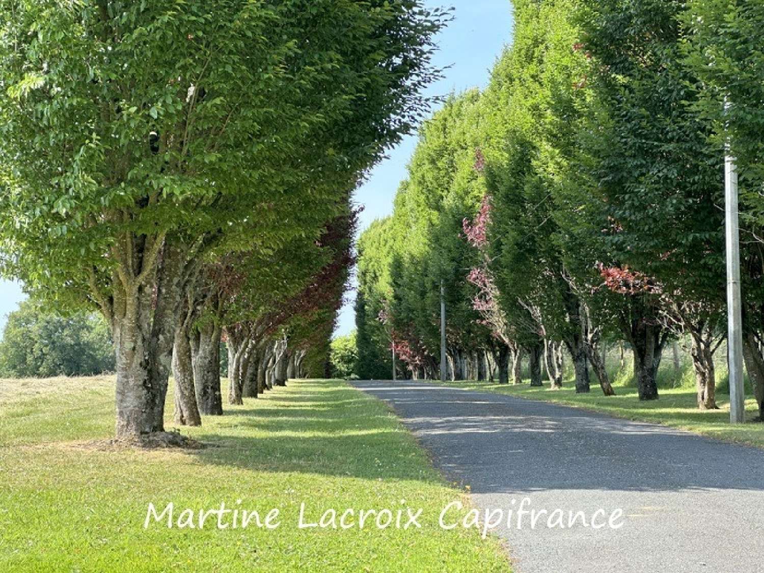  for sale estate Cormes Sarthe 6