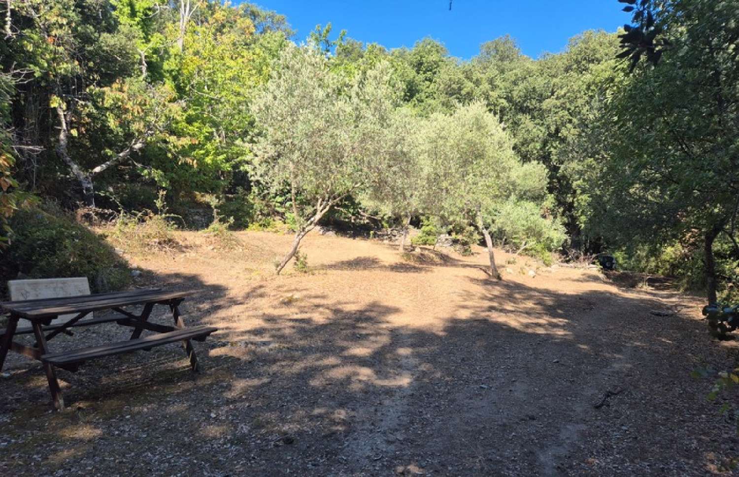  te koop landgoed Corte Haute-Corse 7