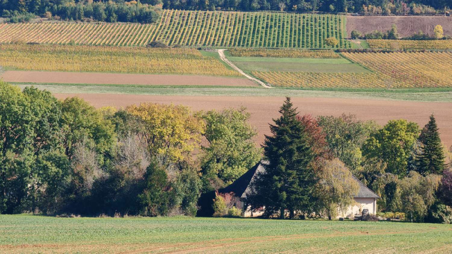à vendre propriété Gevrey-Chambertin Côte-d'Or 2