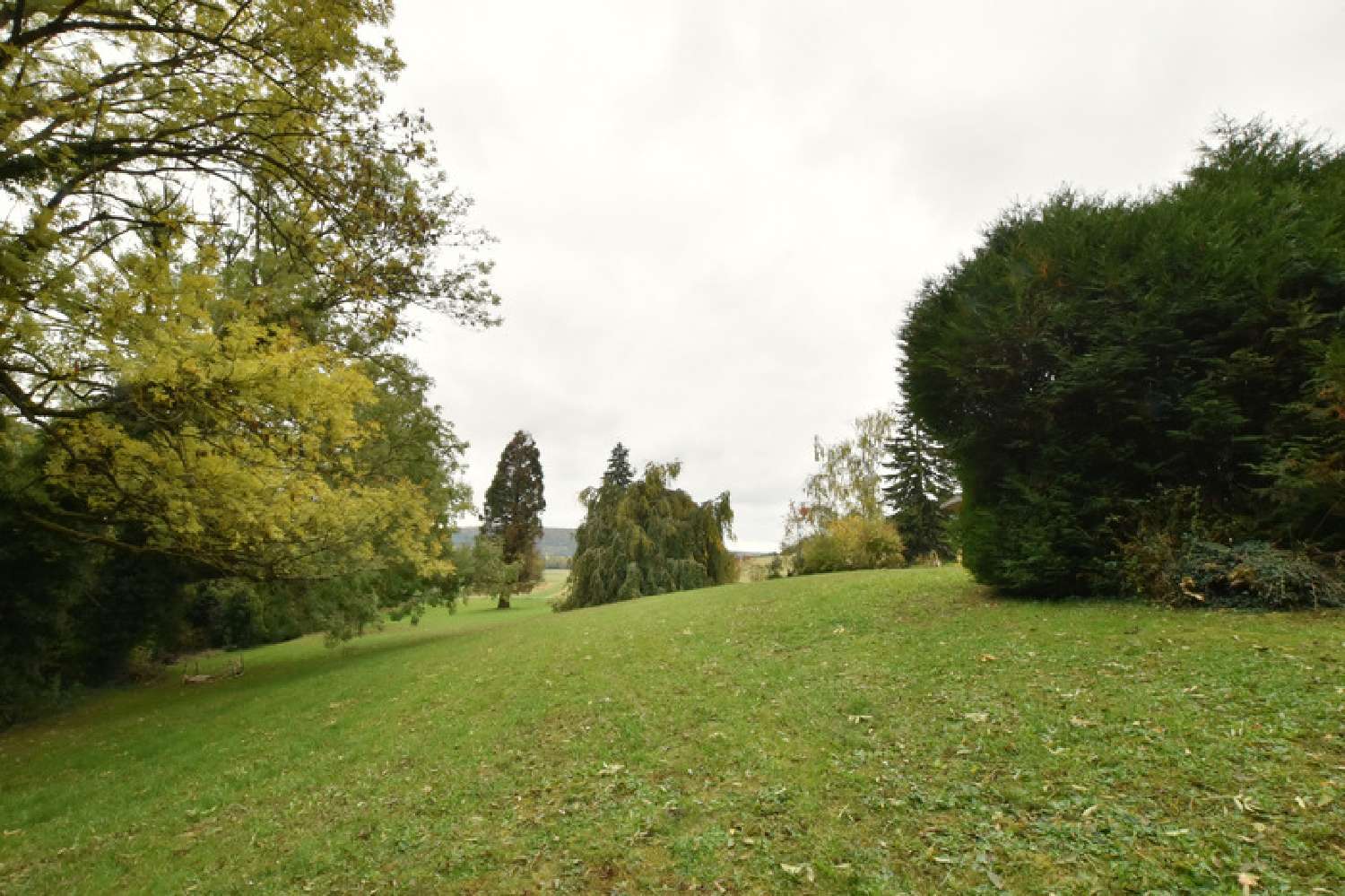 à vendre propriété Gevrey-Chambertin Côte-d'Or 3