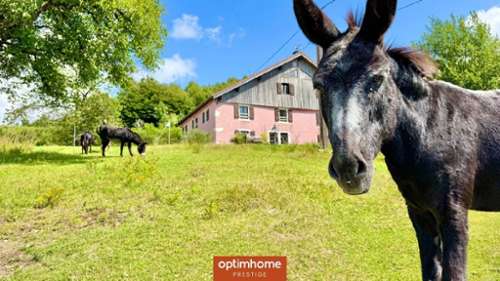  kaufen Landgut Le Thillot Vogesen 2