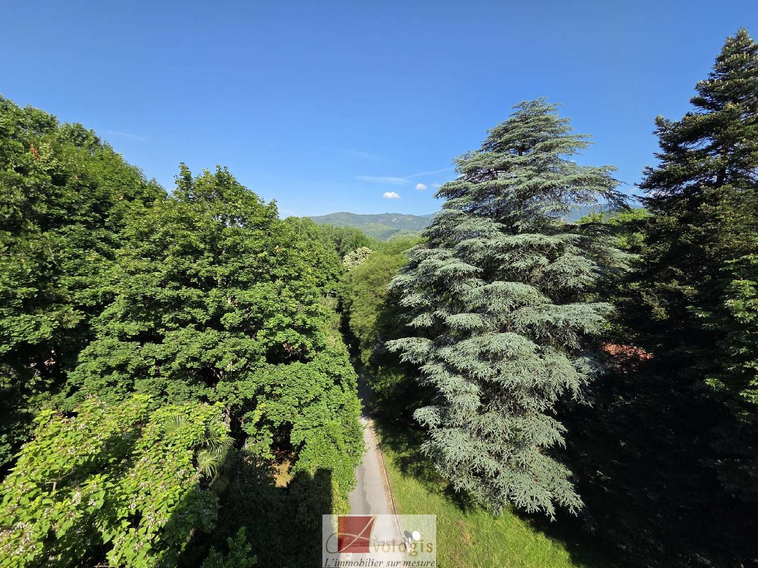  for sale estate Le Vigan Gard 4