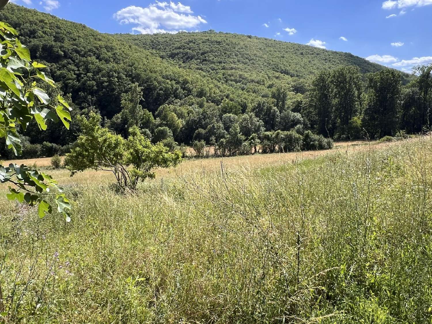 en venta finca rústica Marcilhac-sur-Célé Lot 4