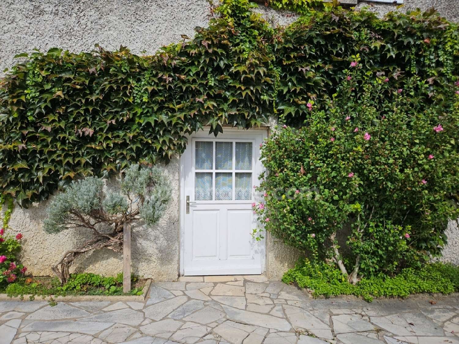  en venta finca rústica Montanay Rhône 3