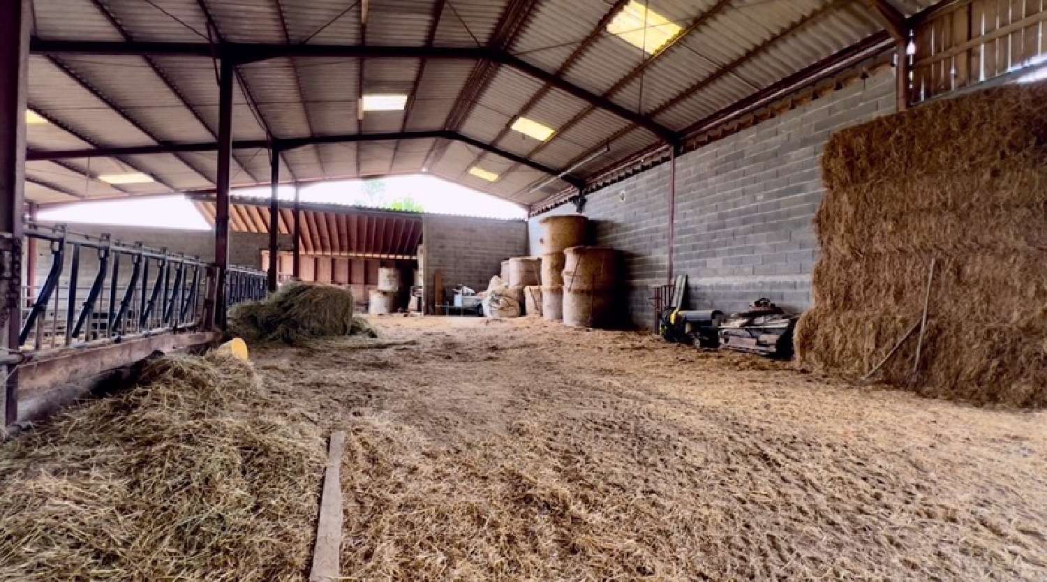  for sale estate Montauban Tarn-et-Garonne 4