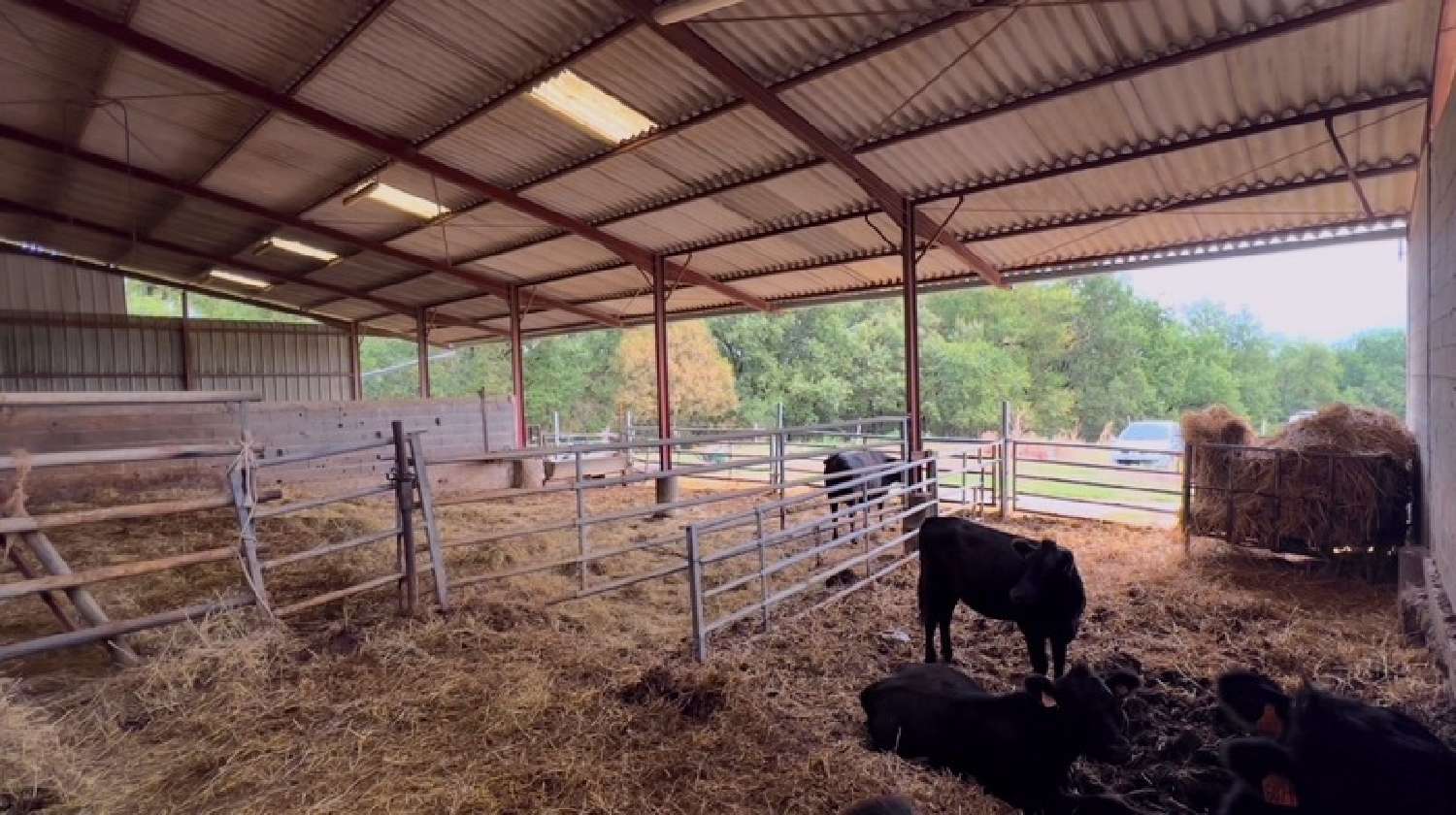  for sale estate Montauban Tarn-et-Garonne 5