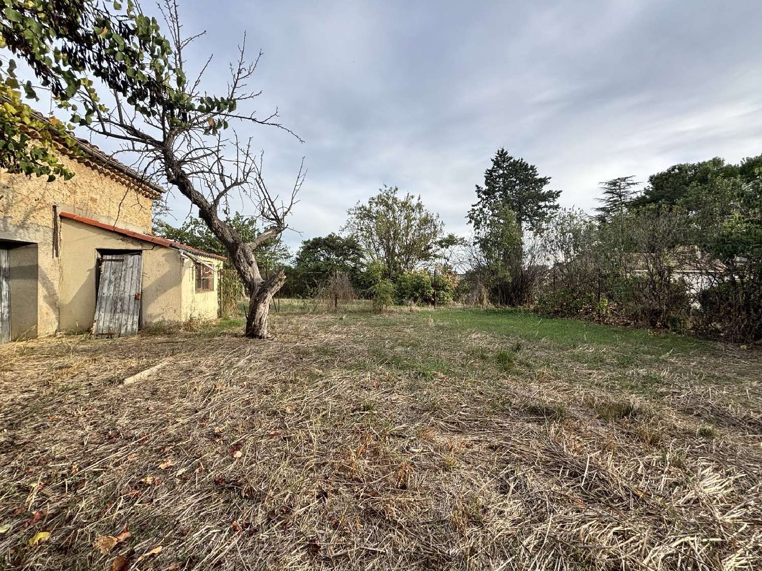  kaufen Landgut Saint-Geniès-de-Fontedit Hérault 5
