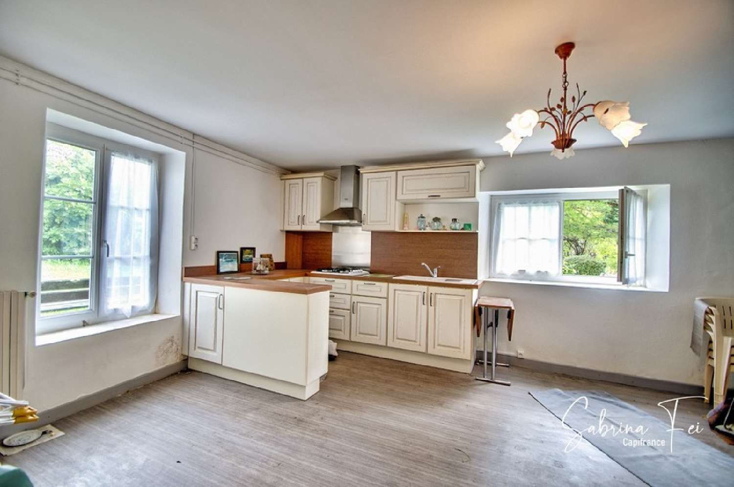 te koop landgoed Saint-Médard-d'Aunis Charente-Maritime 6