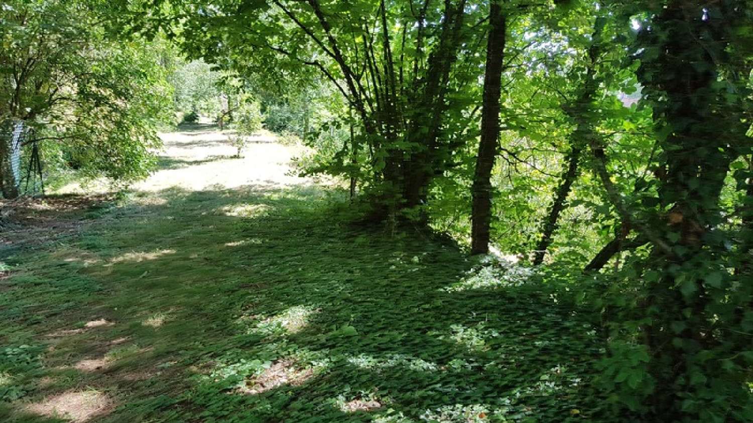  for sale estate Saint-Sernin-du-Plain Saône-et-Loire 2