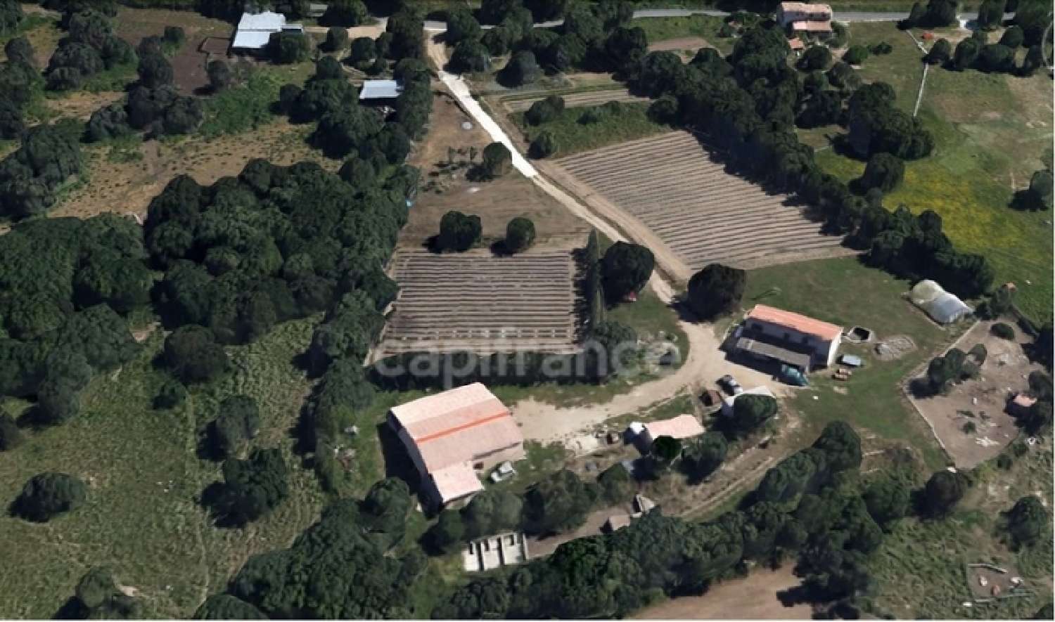 à vendre propriété Sant'Antonino Haute-Corse 2