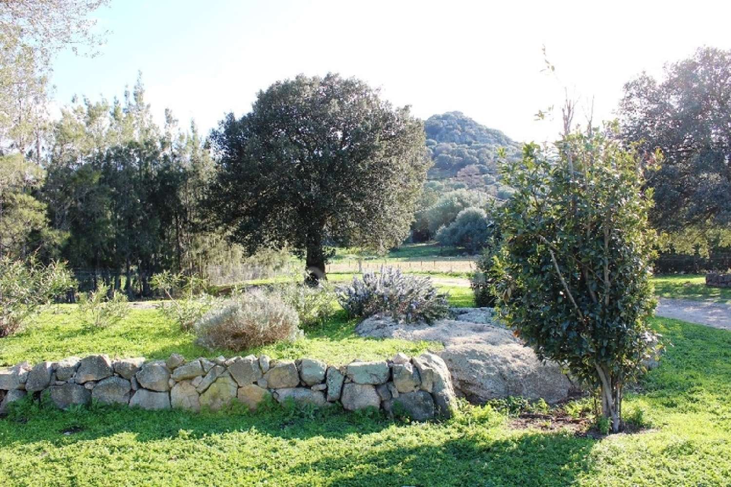 à vendre propriété Sant'Antonino Haute-Corse 6