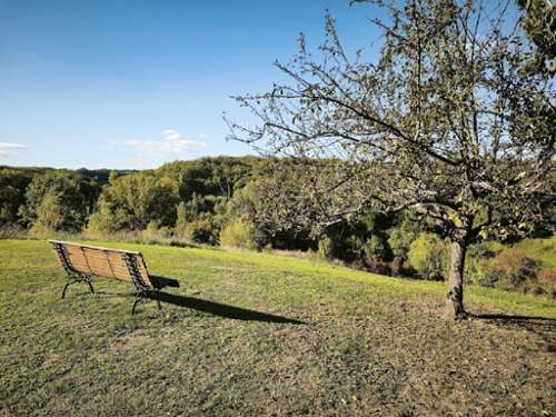 Vazerac Tarn-et-Garonne Landgut Bild 7148496