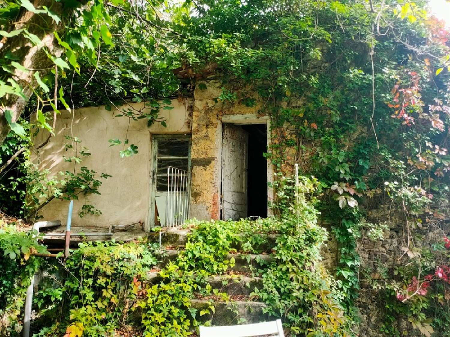  for sale farm Arphy Gard 2
