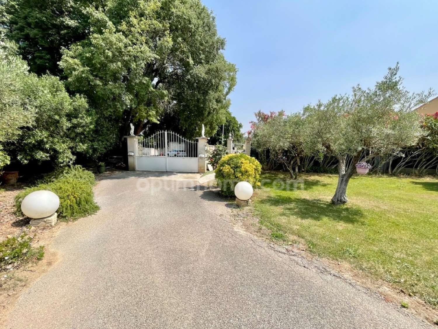  for sale farm Bellegarde Gard 6