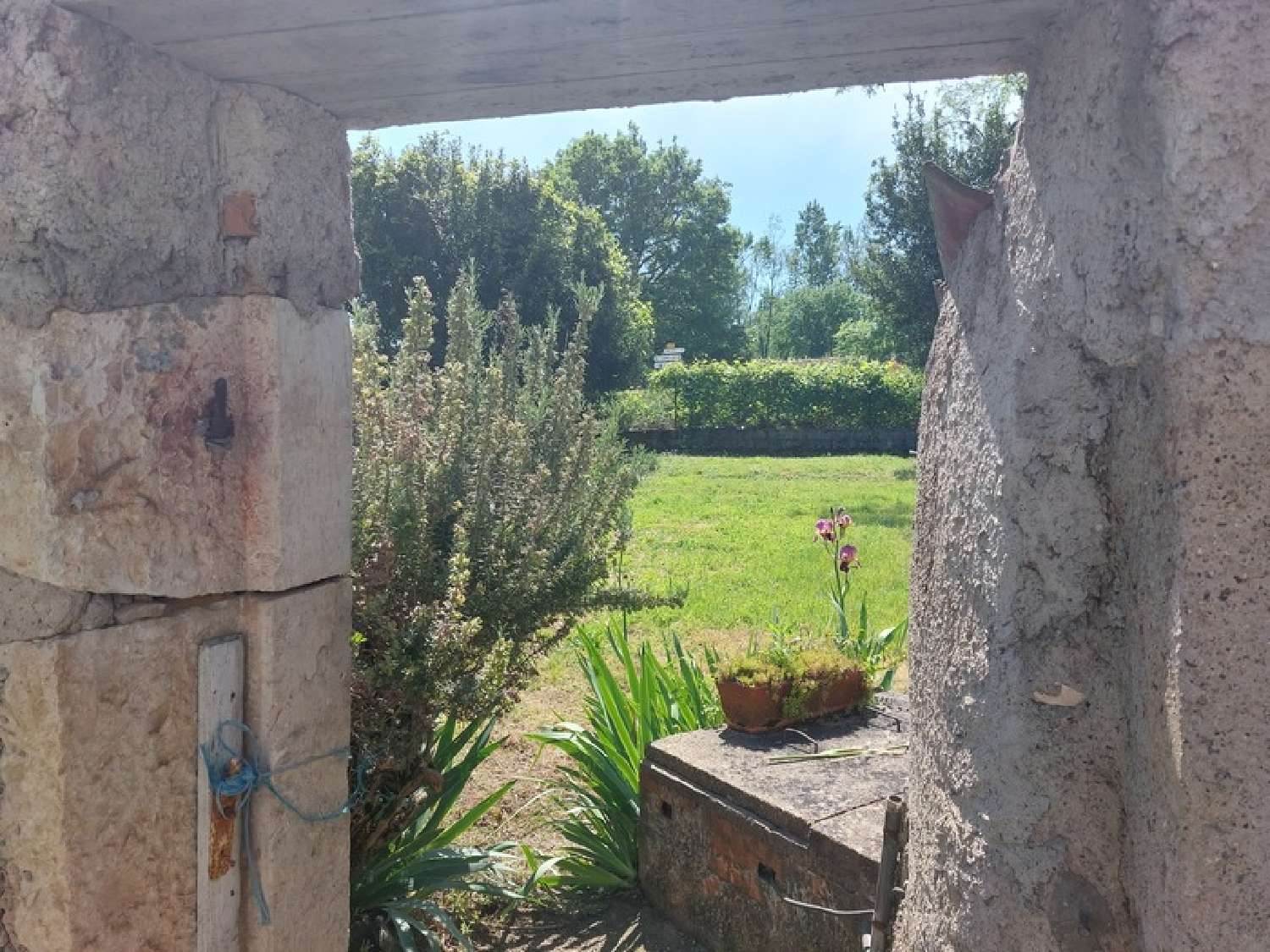 for sale farm Cambon Tarn 4