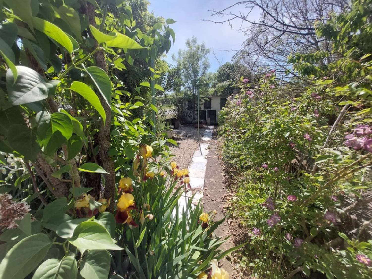 for sale farm Cambon Tarn 8