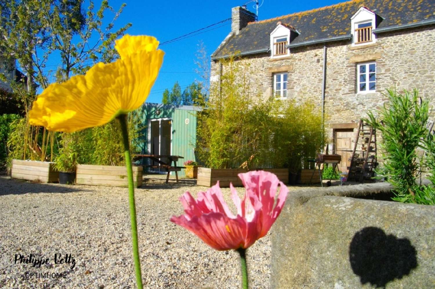  for sale farm Cancale Ille-et-Vilaine 2
