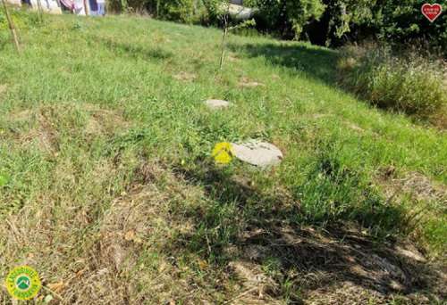  te koop boerderij Charentonnay Cher 5