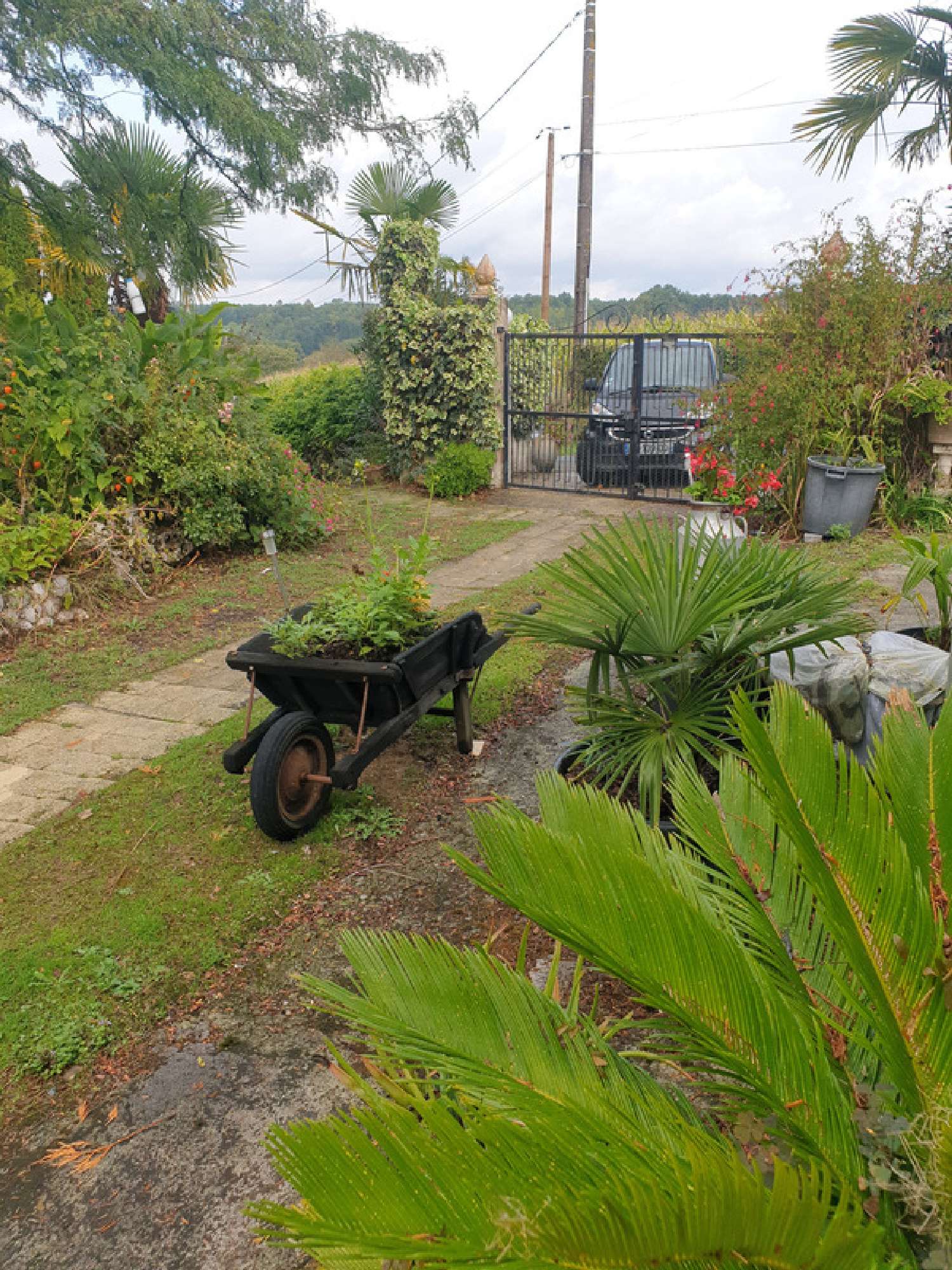  te koop boerderij Châtignac Charente 4
