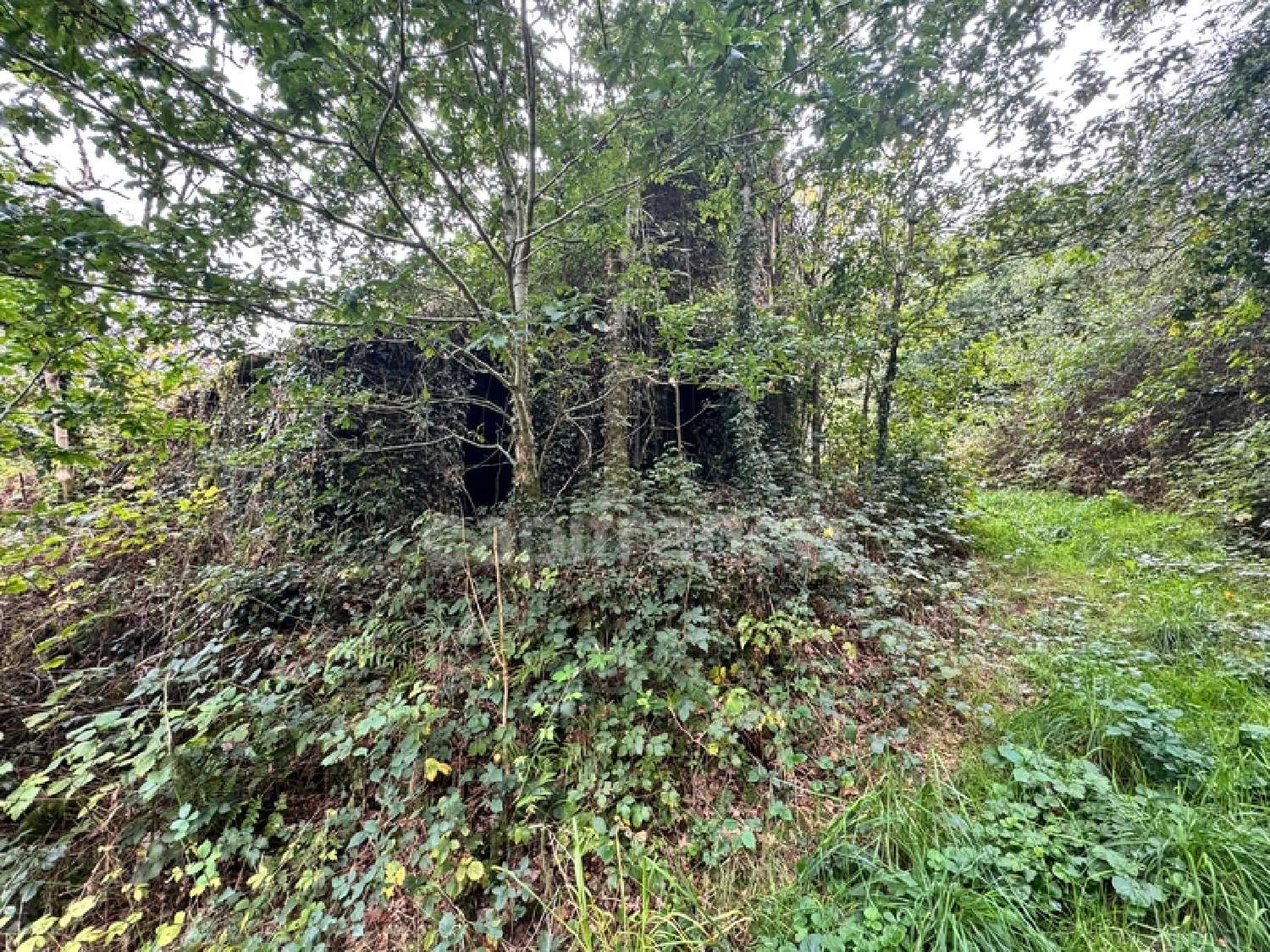 kaufen Bauernhof Cléden-Poher Finistère 6