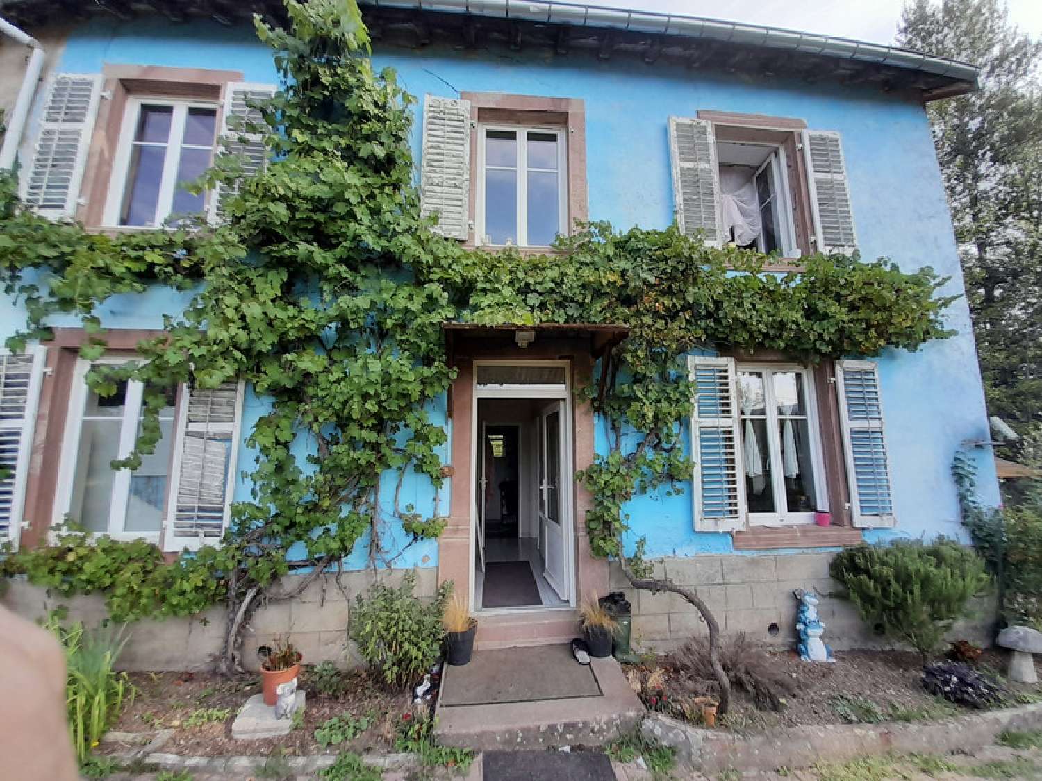  te koop boerderij Frapelle Vogezen 3