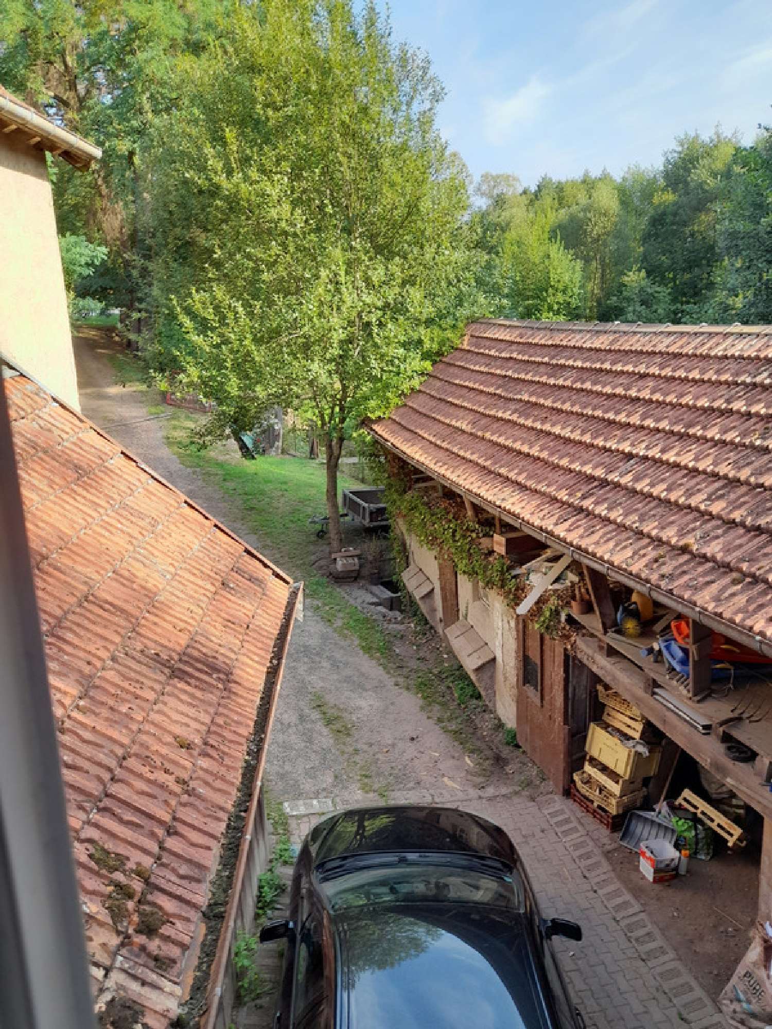  te koop boerderij Frapelle Vogezen 5