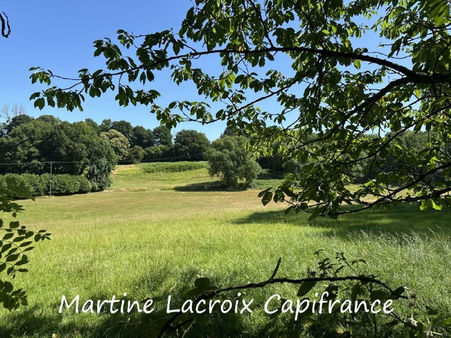  te koop boerderij La Ferté-Bernard Sarthe 1