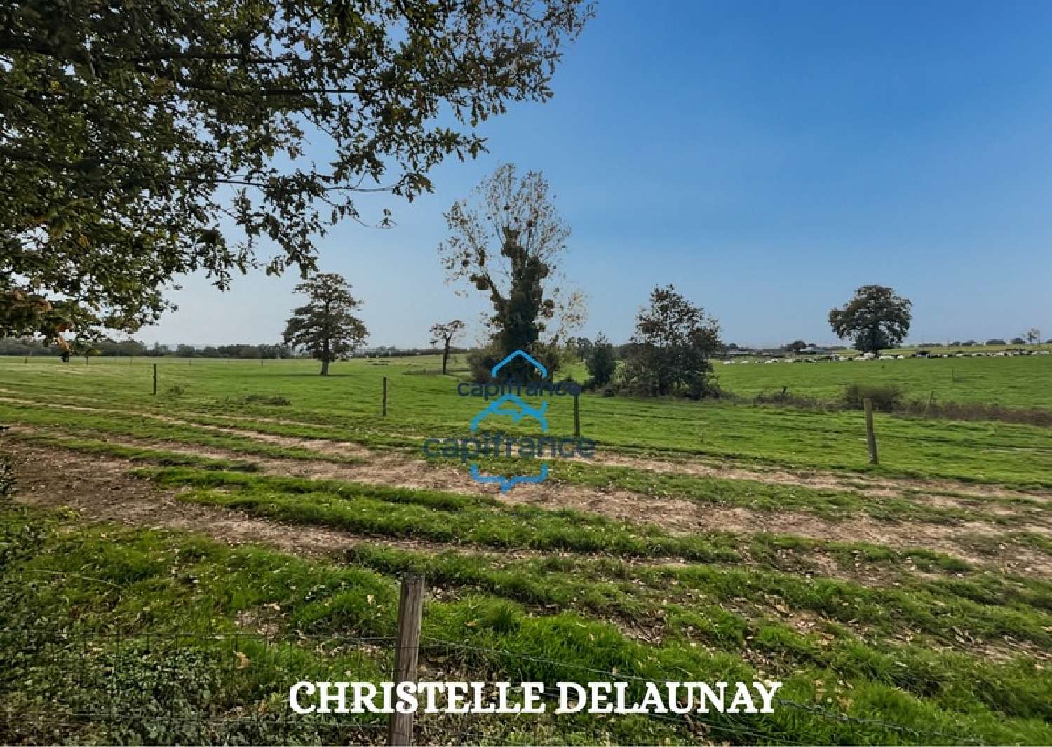  en venta casa rústica La Pallu Mayenne 8