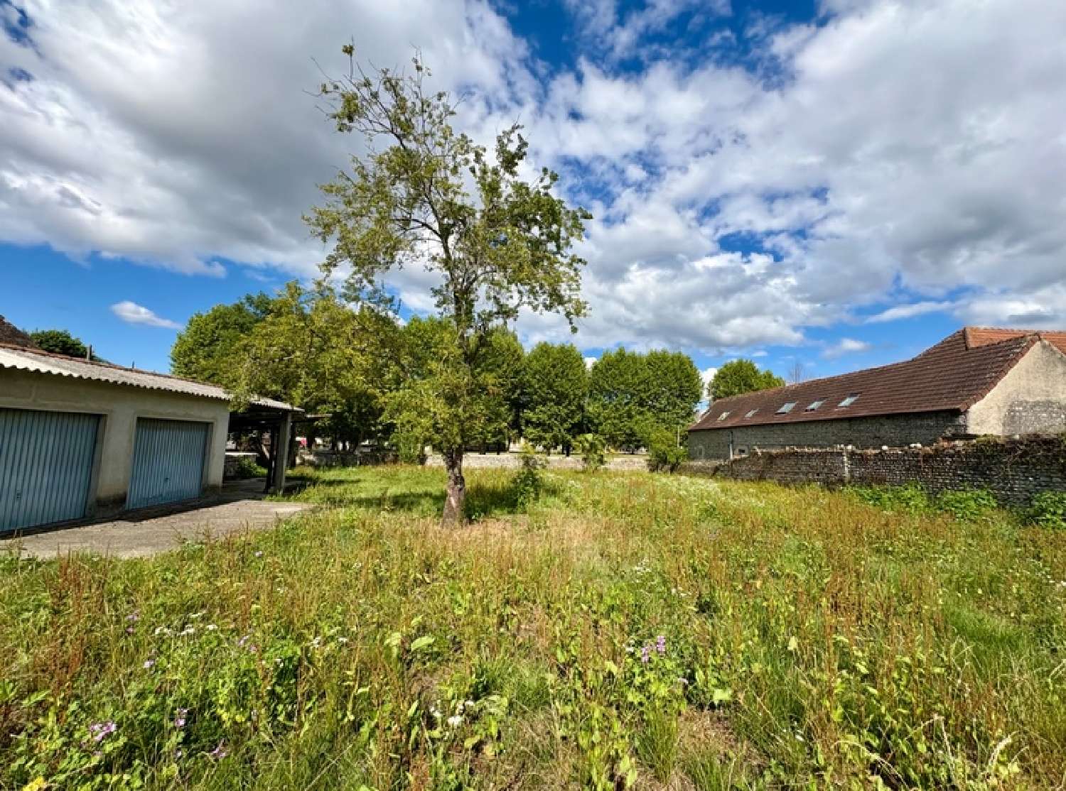  à vendre ferme Laloubère Hautes-Pyrénées 3