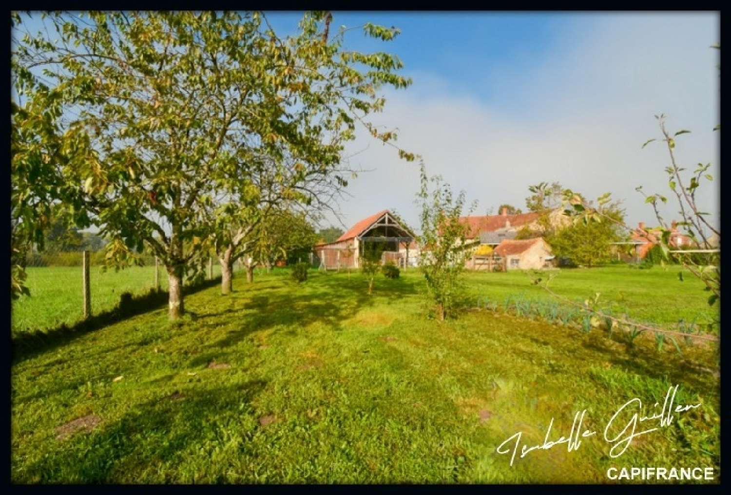for sale farm Maisonnais Cher 3