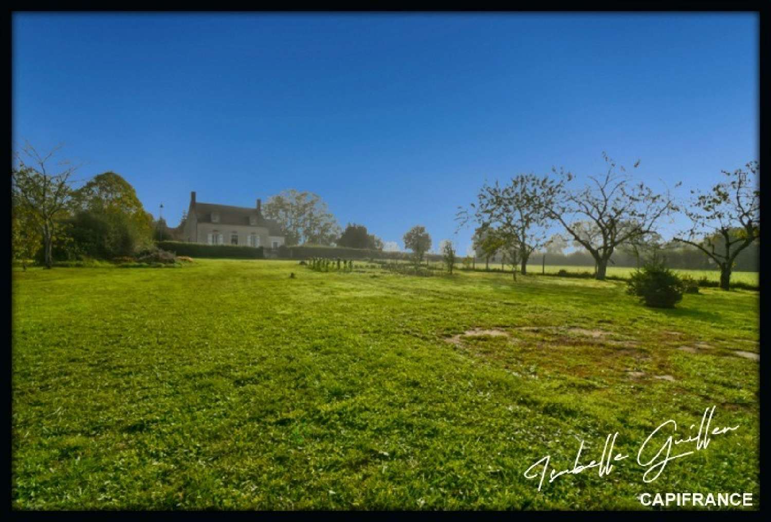for sale farm Maisonnais Cher 5