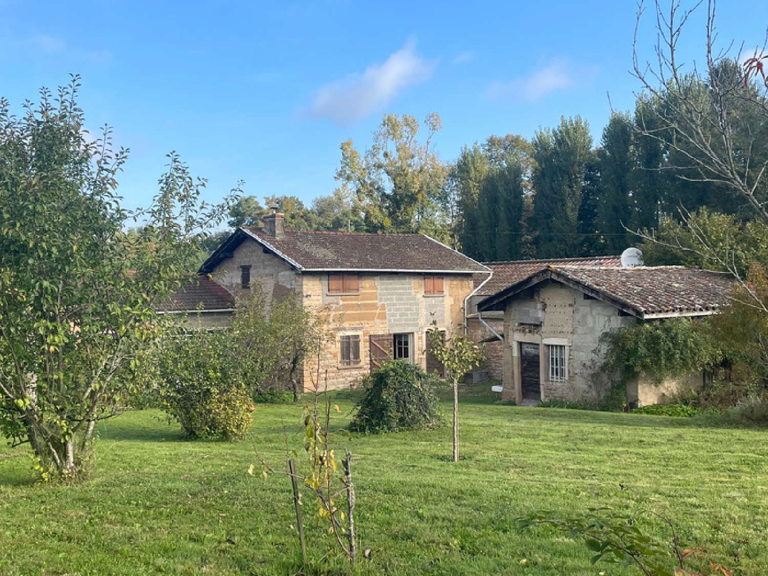  for sale farm Mogneneins Ain 3