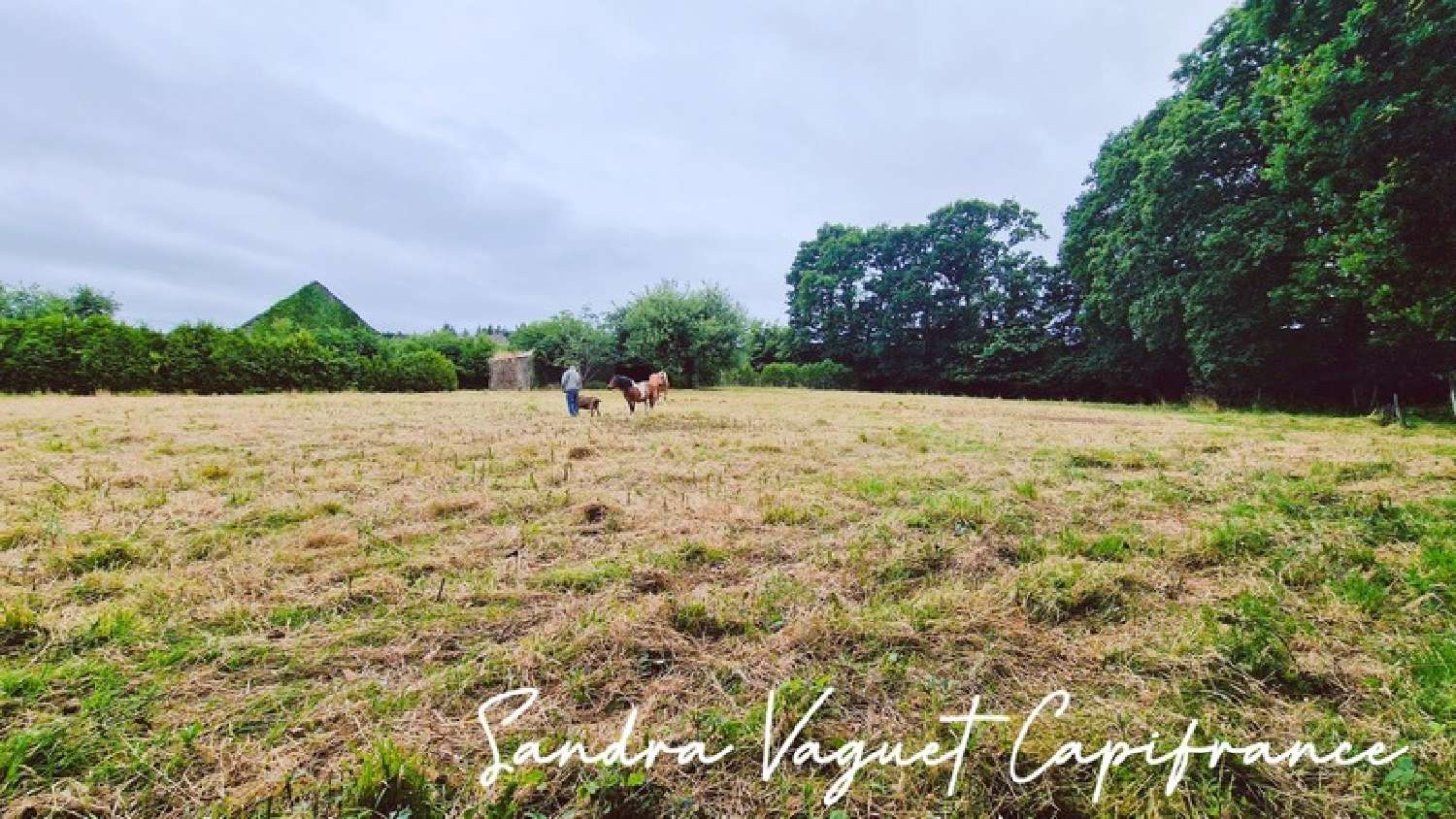  for sale farm Noyal-Pontivy Morbihan 5