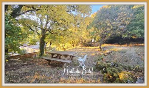 Pardailhan Hérault boerderij foto 7164356