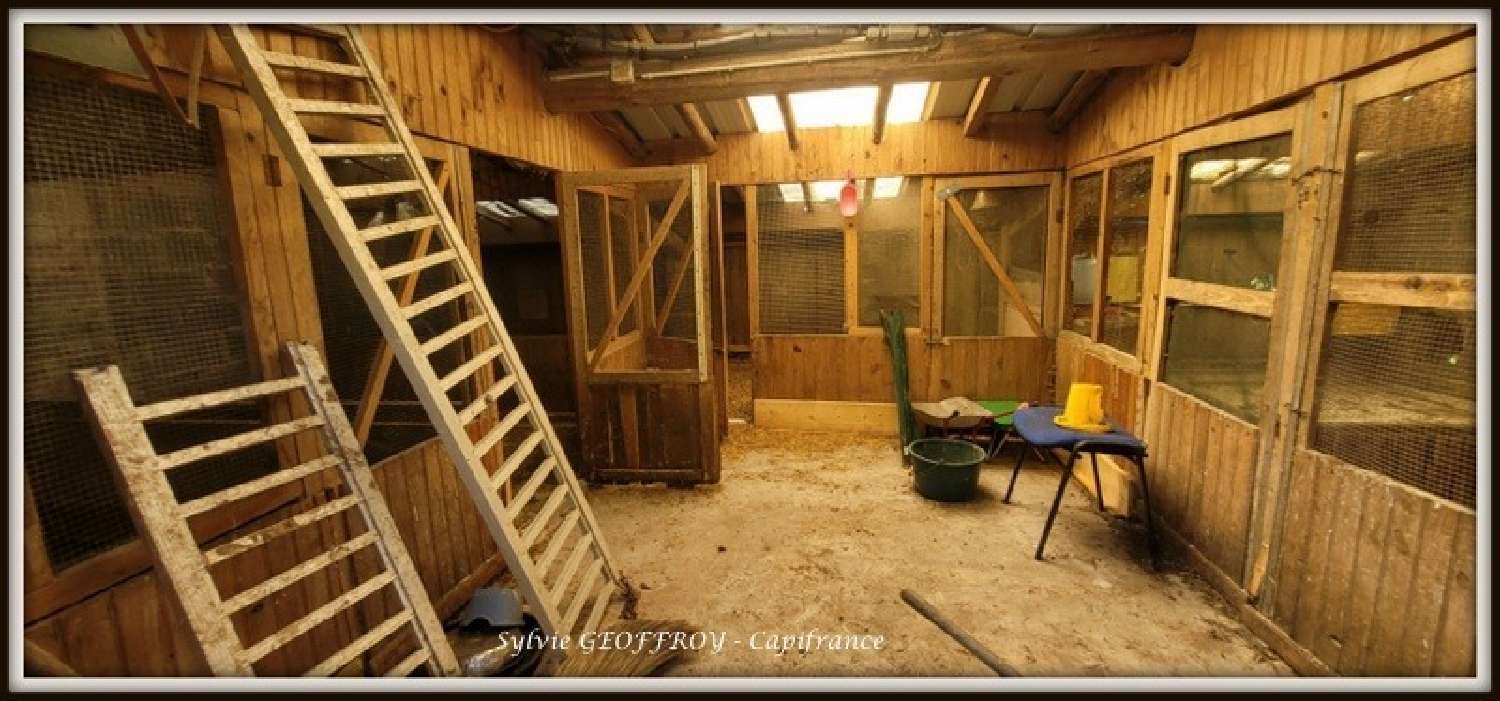  à vendre ferme Pexonne Meurthe-et-Moselle 6