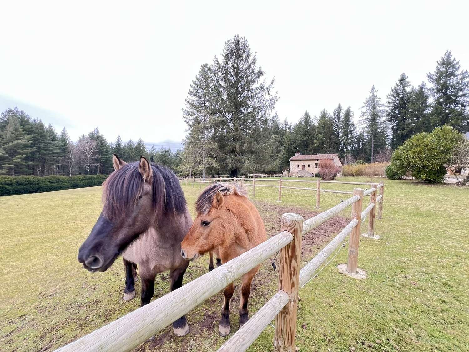  for sale farm Saint-Céré Lot 2
