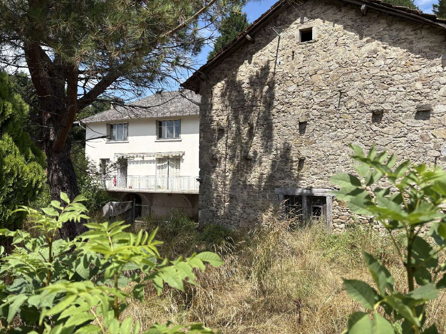  for sale farm Saint-Mamet-la-Salvetat Cantal 1
