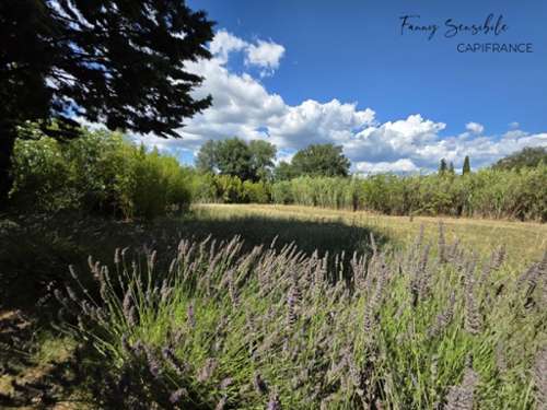 à vendre ferme Trets Bouches-du-Rhône 4