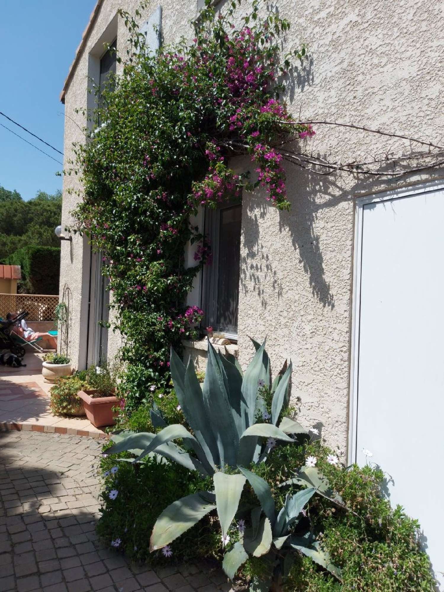  te koop huis Agde Hérault 1
