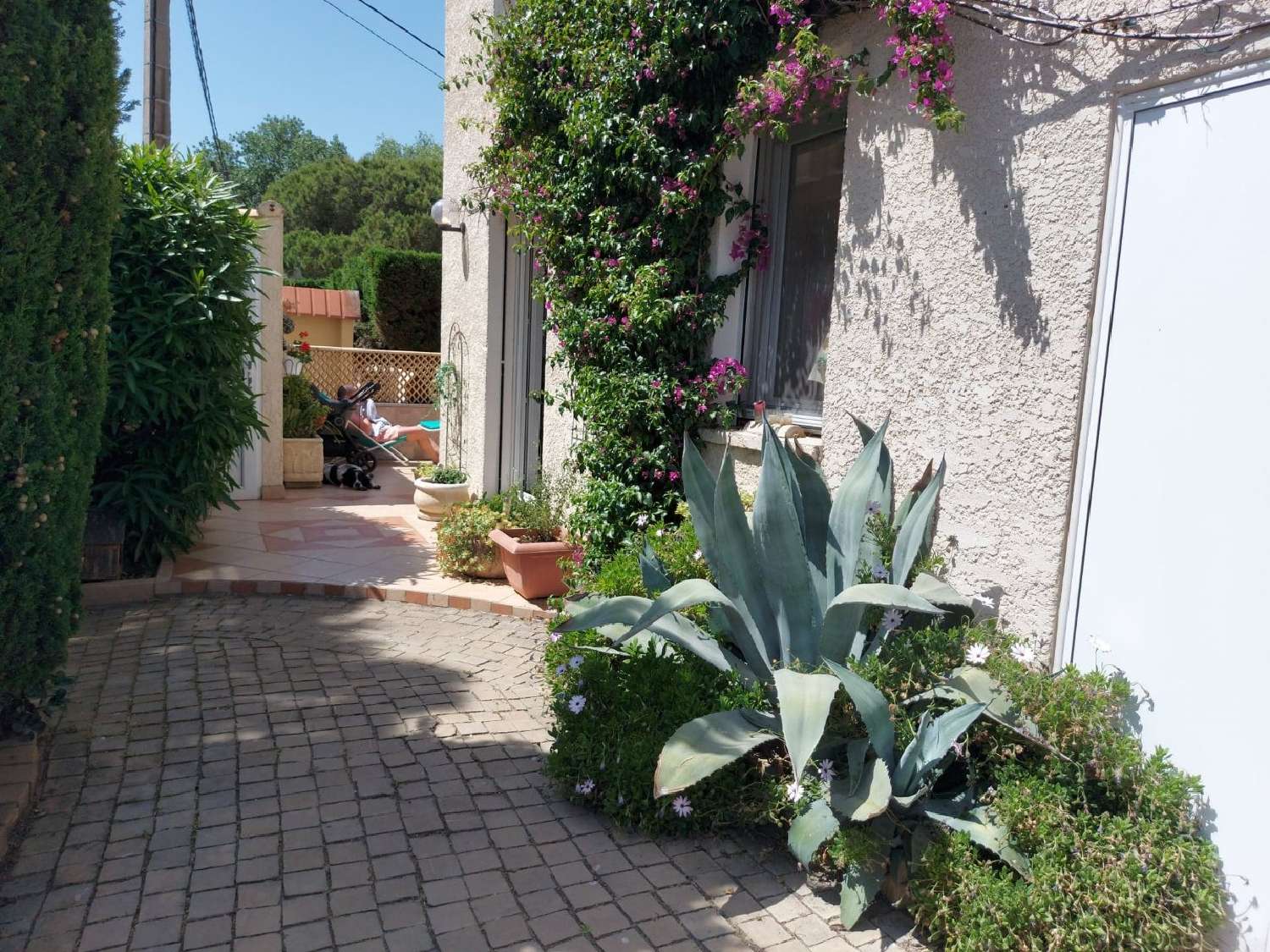  te koop huis Agde Hérault 3