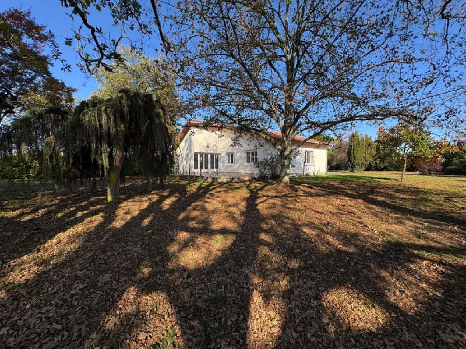 à vendre maison Aire-sur-l'Adour Landes 4