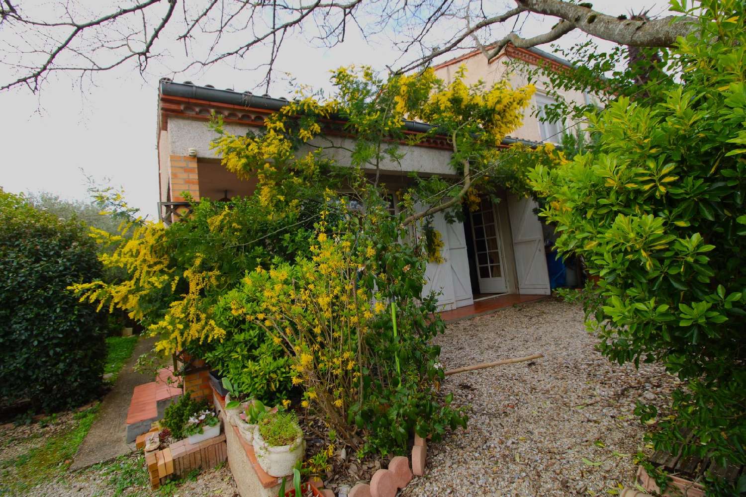  te koop huis Albi Tarn 1