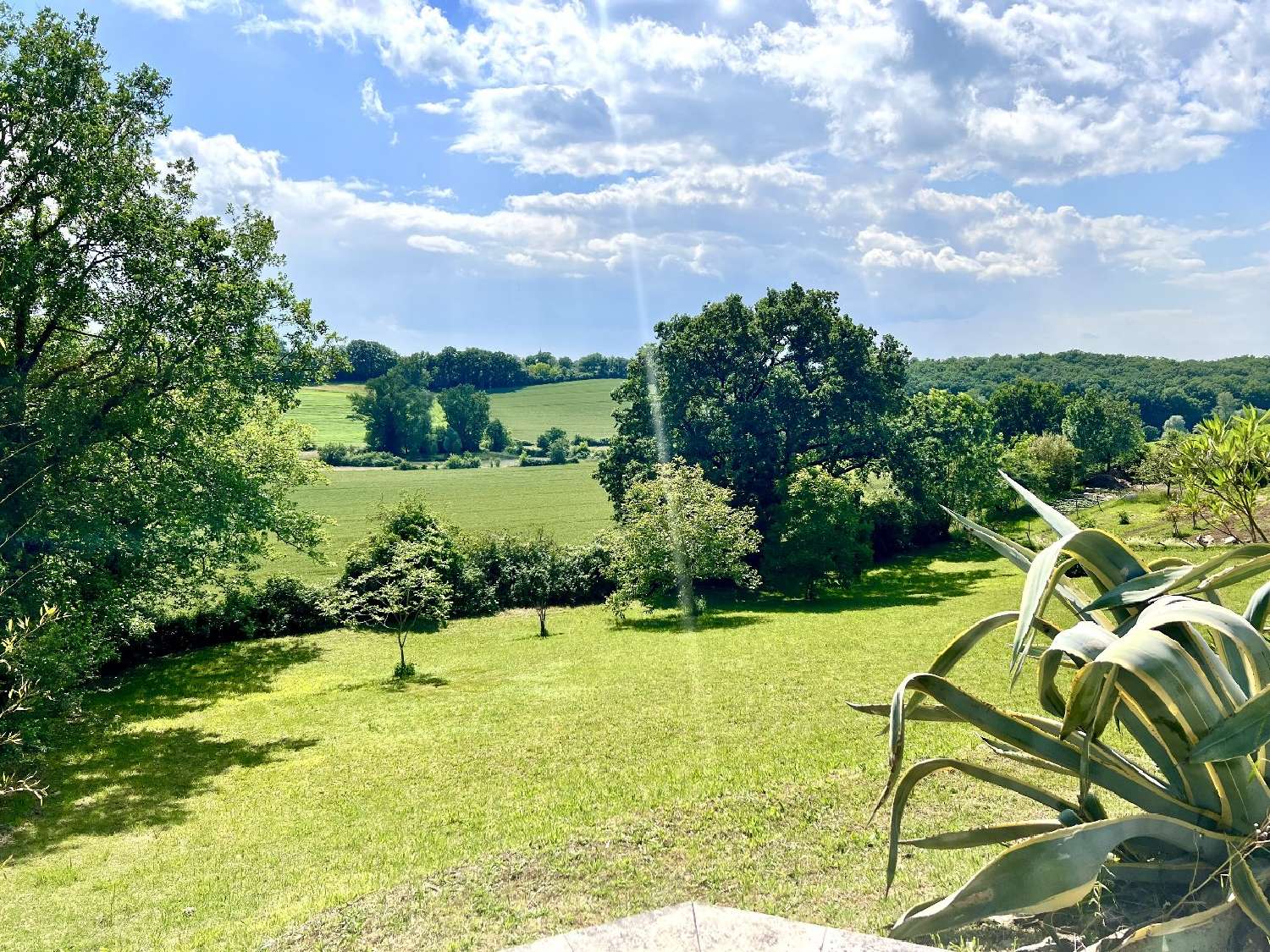 en venta casa Albi Tarn 3
