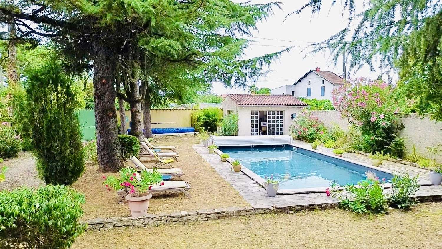  te koop huis Albi Tarn 1