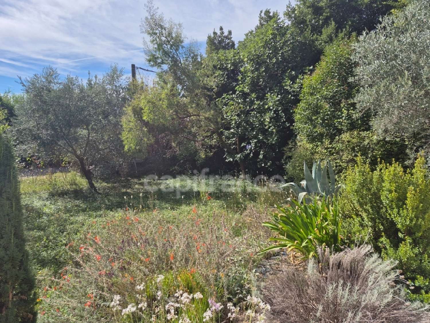  en venta casa Alès Gard 2
