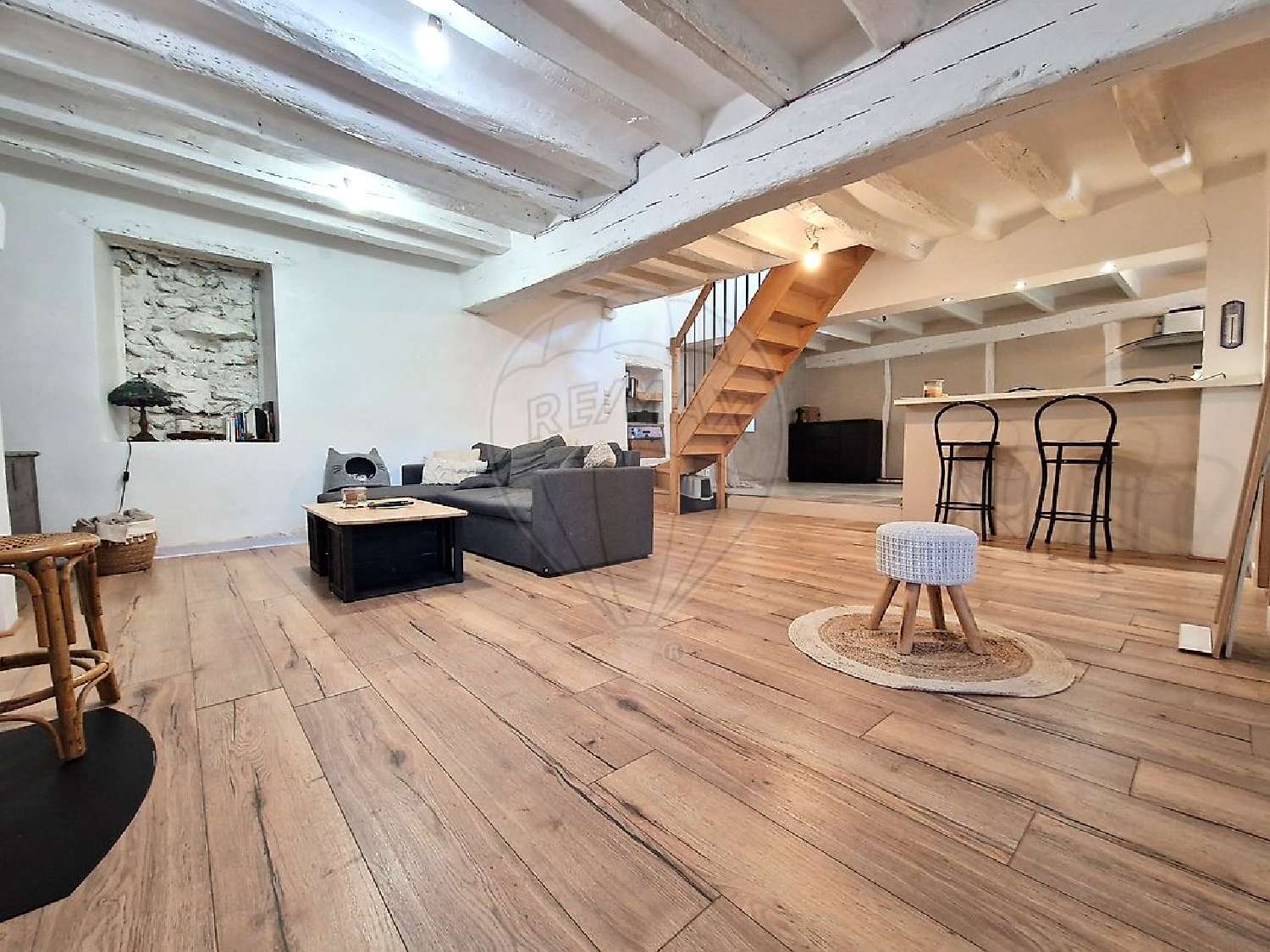  te koop huis Allouis Cher 5