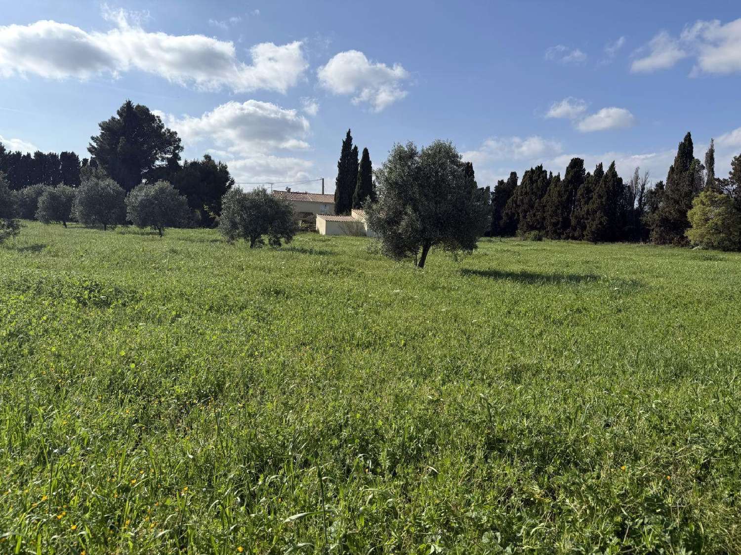 te koop huis Argeliers Aude 3