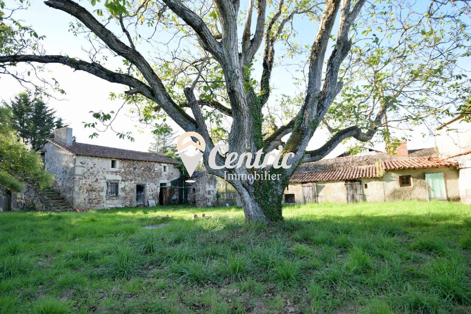  for sale house Argenton-Château Deux-Sèvres 1